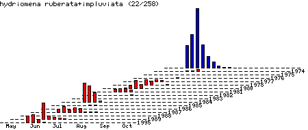 [ruberata+impluviata-stats.gif]